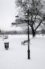 Brockwell Park in the Snow Series